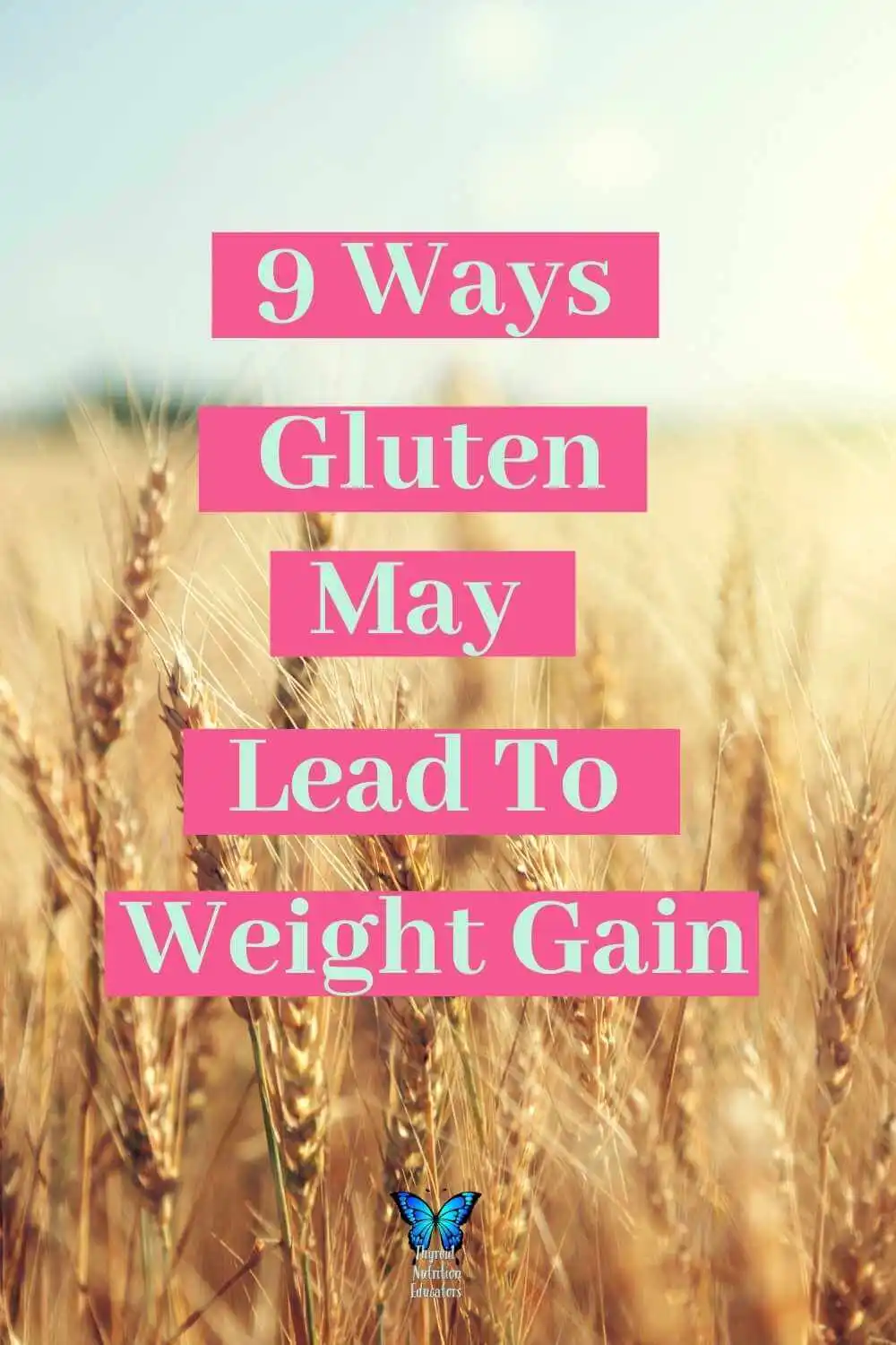 A field of grains with the words 9 Ways Gluten May Lead to Weight Gain | Thyroid Nutrition Educators